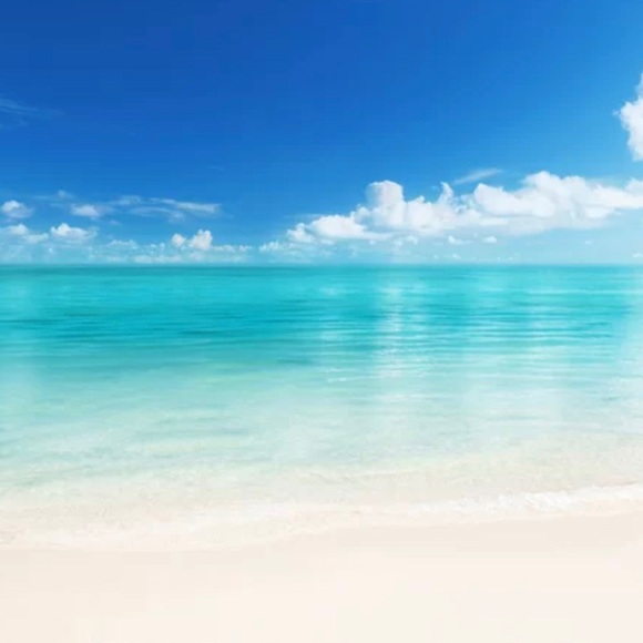 Meet your Posher, Whitney :) - Picture 1 of 1